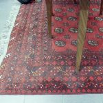 950 2070 ORIENTAL RUG